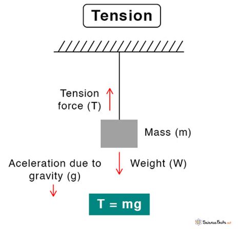 Tension vs. Compression Force: What's the Difference? | US Cargo Control