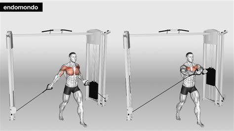 Cable Chest Workout: Best Exercises For Developing Pec 2024