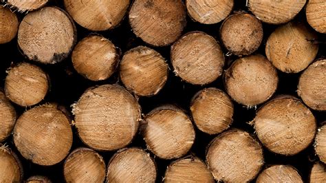 Wood Logs UHD 4K Wallpaper | Pixelz