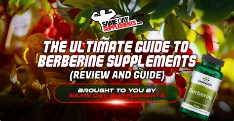 The Ultimate Guide to Berberine Supplements (Review 2023)