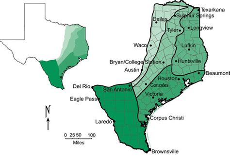 Coastal Plains - Texas Regions