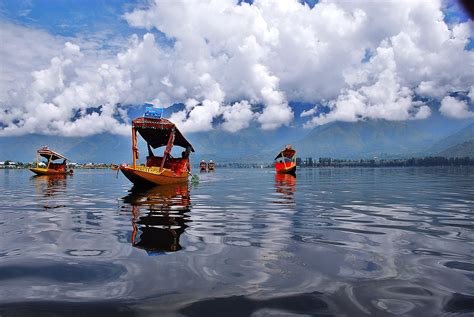 File:Shikara in Dal Lake in Kashmir.JPG - Wikipedia, the free encyclopedia