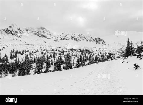 Winter landscape in the Tatra Mountains . Poland Stock Photo - Alamy