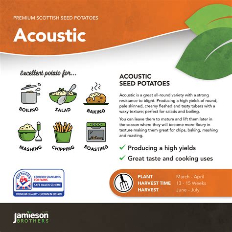 Acoustic Seed Potatoes