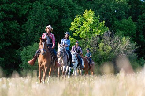 Pathways on Pleasure Valley Horseback Riding near Whitby (1) - Discover Uxbridge