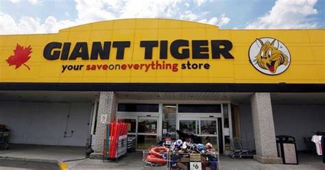 WIN A $100 Giant Tiger Gift Card • Canadian Savers