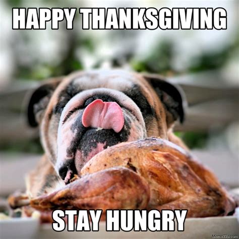 Dog Thanksgiving Memes - MemeZila.com