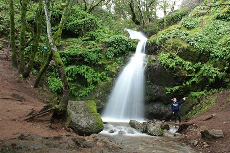 5 Easy Waterfall Hikes for Families in Marin | Marin Mommies