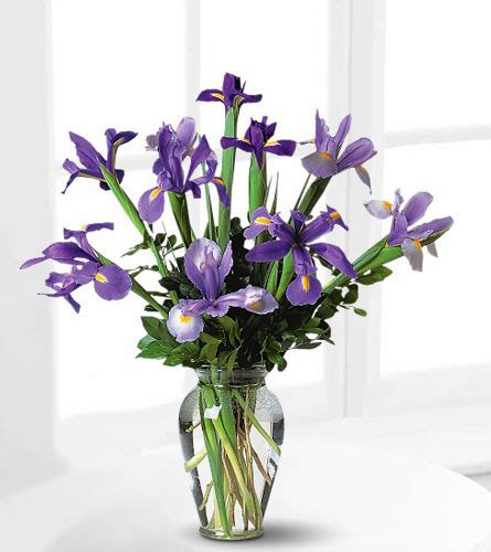 Nature's Wonders Florist - Iris - Incredible Iris Bouquet TF59-1