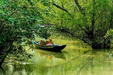 Top 4 Places To Visit In Sundarbans