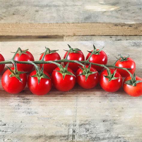 Tomatoes - Cherry Vine | Angmering Village Greens