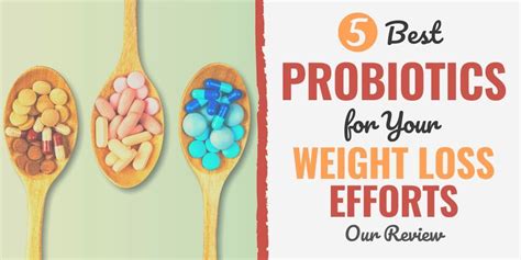 5 Best Probiotics for Your Weight Loss Efforts (2024 Review)