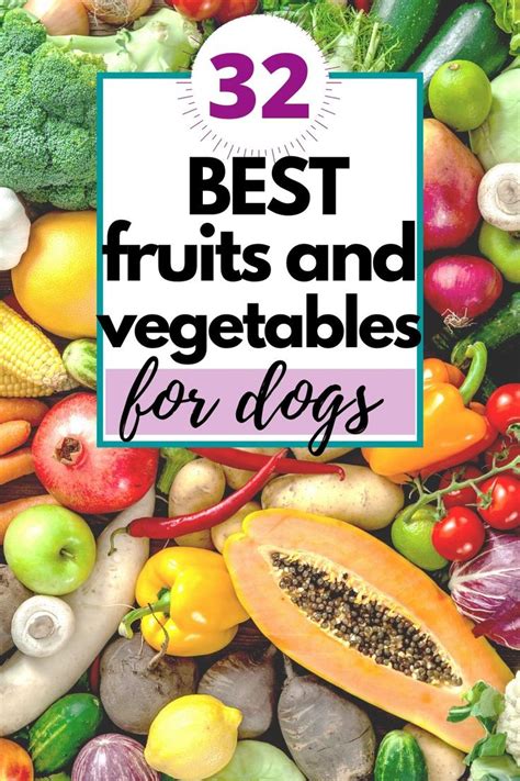 32 Best Fruits and Vegetables Dogs Can Eat - House that Barks | Dog ...