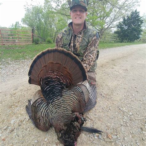 Eastern Turkey Hunting - TN - Trips4Trade