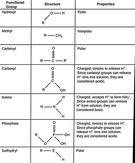 [Solved] Chapter 4: Functional Groups Lab Work Complete the chart below.... | Course Hero