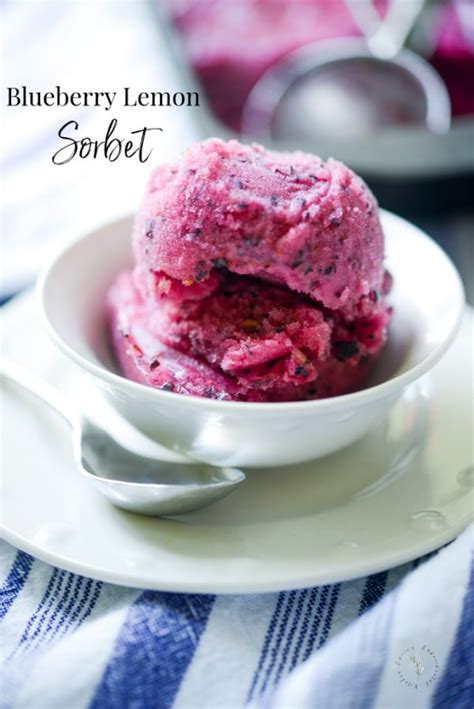 Blueberry Lemon Sorbet | Carrie’s Experimental Kitchen