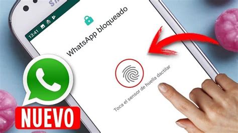 Cómo Activar el Bloqueo con Huella Digital en WhatsApp Desde iPhone y ...