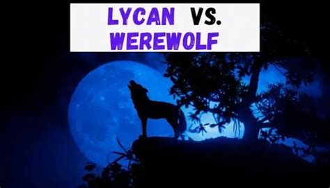 Lycan vs. Werewolf (What's The Difference?) — Mystic Beasts