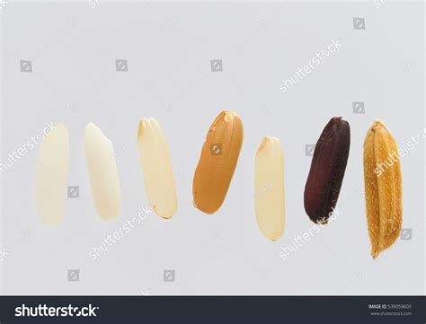 Single grain of rice Images, Stock Photos & Vectors | Shutterstock