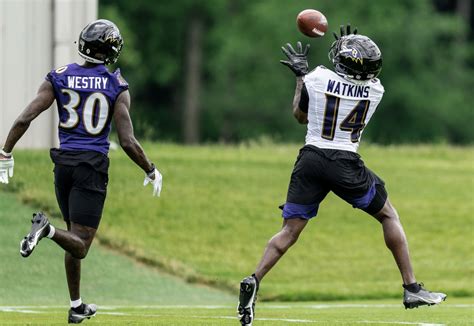 Baltimore Ravens: Spotlight on WR Sammy Watkins