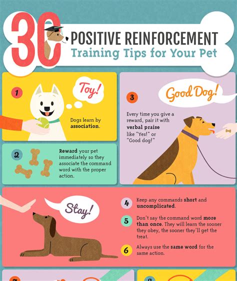 Dog Training Tips: Why Positive Reinforcement Training Is Best - Daily ...