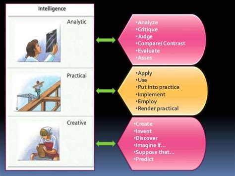 Sternberg S Triarchic Theory Of Intelligence Examples - sharedoc