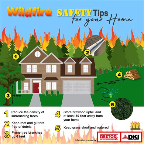 Preparing for a Wildfire (fire mitigation + safety tips)