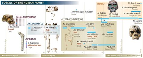 Paleoanthropology of Consciousness, Culture and Oral Language