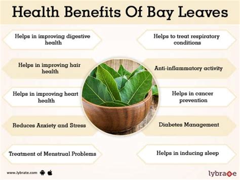 Benefits of Bay Leaves And Its Side Effects | Lybrate