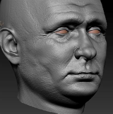 Vladimir Putin - head only 3D model | CGTrader