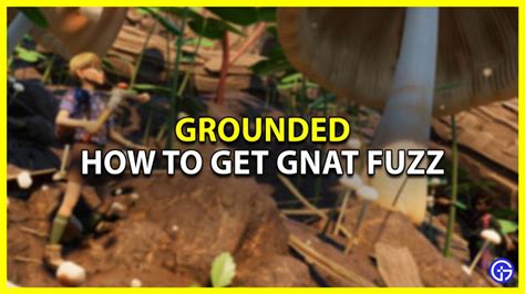 How To Get Gnat Fuzz In Grounded