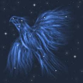 Phoenix constellation - Home