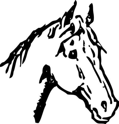 SVG > stallion mare nature outdoor - Free SVG Image & Icon. | SVG Silh