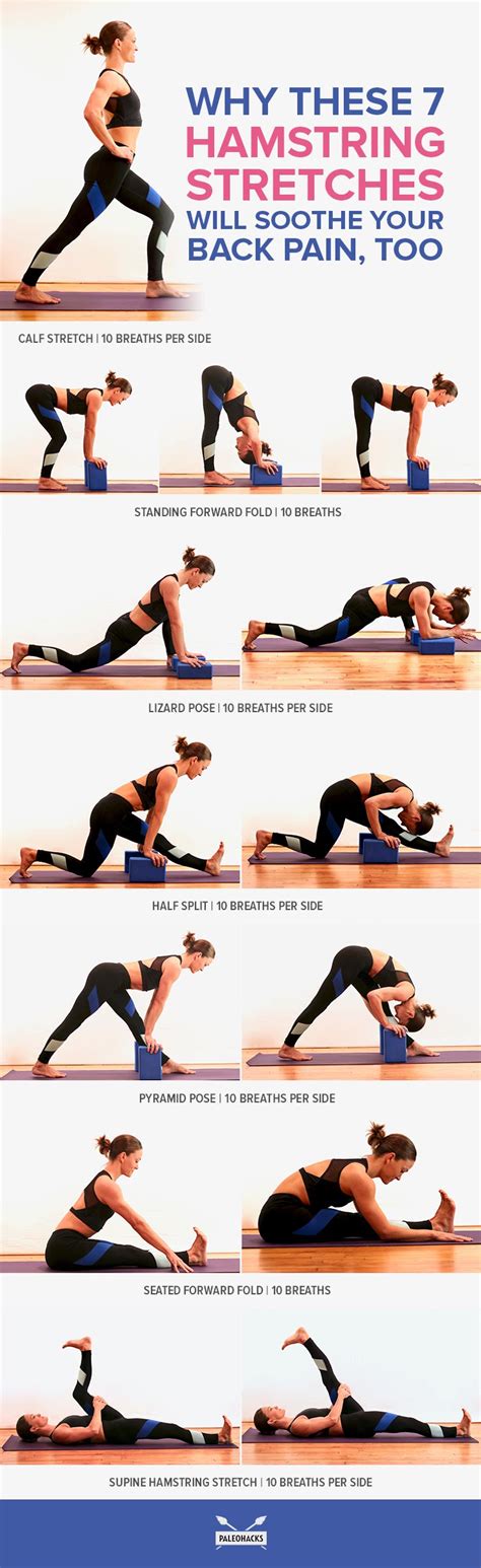 Exercises For Tight Hamstrings And Lower Back - Exercise Poster