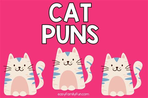 160 Awesome Cat Puns Are Purr-fect!