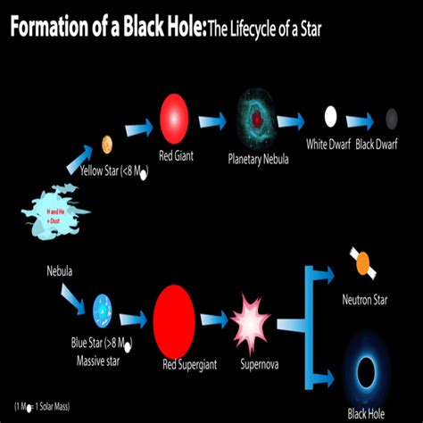 Life Cycle A Black Hole Diagram | Sexiz Pix