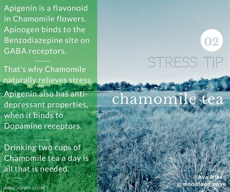 Is chamomile tea Nature's benzo? : moodfoodmove