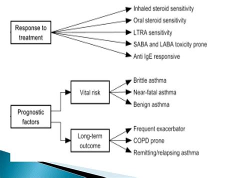 Asthma phenotypes and endotypes