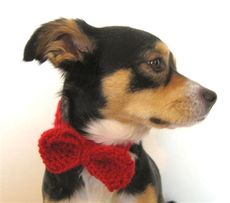 megan E sass handknits: Free Pattern: Crochet Dog Bow Tie