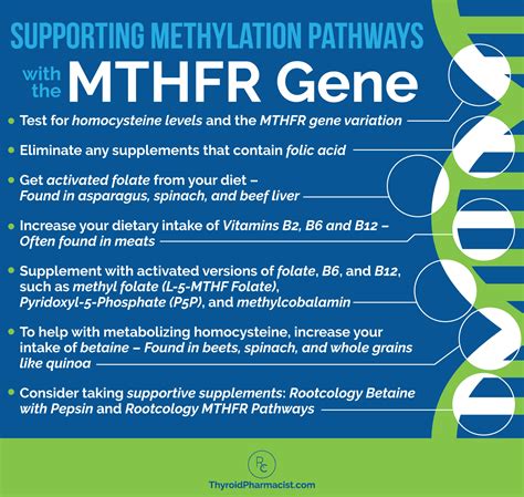 MTHFR, Hashimoto's, and Nutrients - Dr. Izabella Wentz