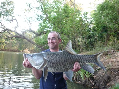 D Heaps fishing adventures: Carry on up the Jungle. Mahseer fishing in Coorg March 2012. Part I