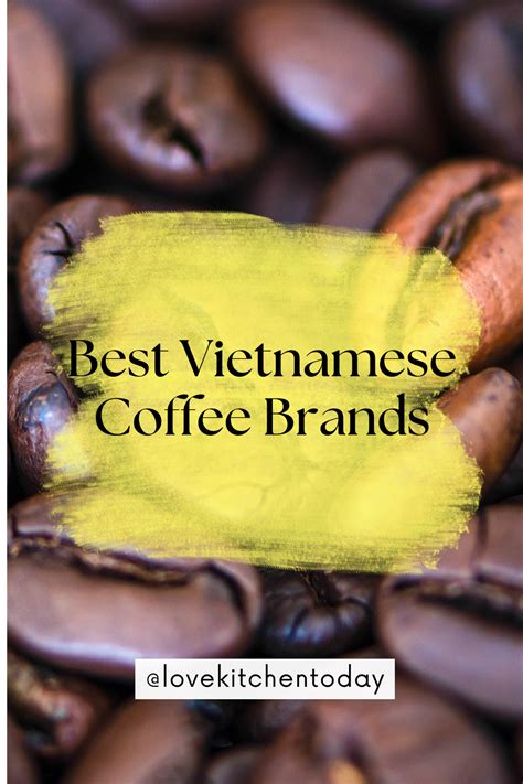 The Best Vietnamese Coffee Brands: A Guide for Coffee Lovers