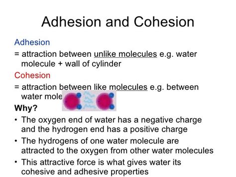 mechanical engineering: Cohesion and Adhesion