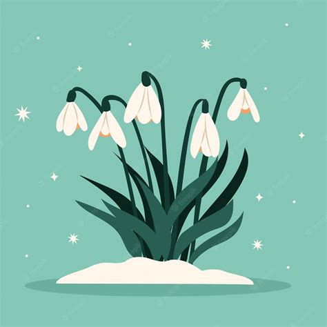 Free Vector | Hand drawn flat design snowdrop flower illustration