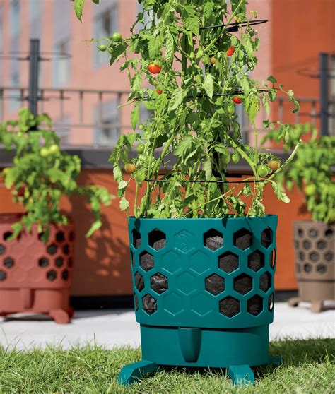 Gardener's Revolution - Self-Watering Tomato Planter With Support Rings