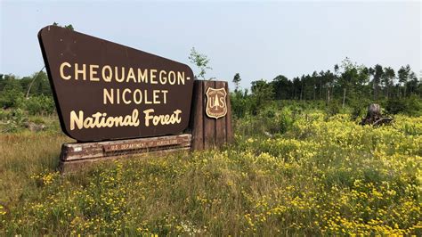 Chequamegon-Nicolet National Forest near Mountain in Oconto County ...