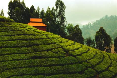 Explore the Best Hill Stations in Tamil Nadu for Relaxation