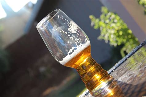 The IPA Glass - The Ultimate Glass for Enjoying an IPA