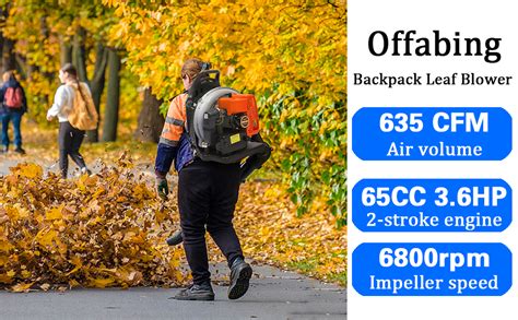 Amazon.com: Backpack Leaf Blower, 65CC 3.6HP 2Cycle Backpack Blower Gas Powered, 635-CFM ...