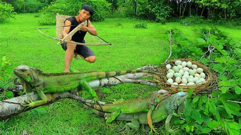 Survival in the rainforest-Man meet green iguana with egg | Cook egg ...